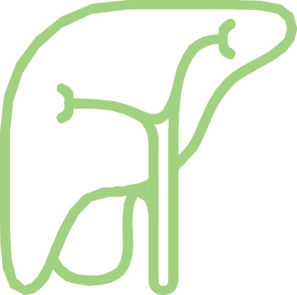 icono de hígado