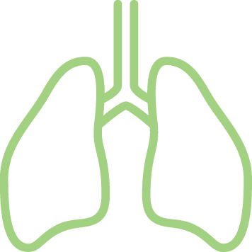icono de pulmones
