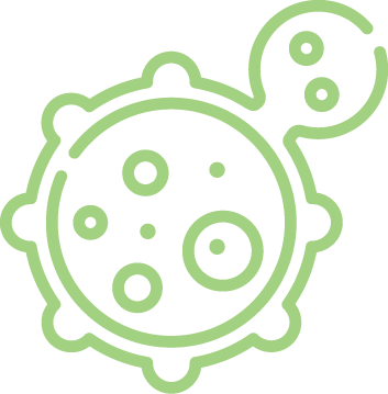 icono de ciclo de vida